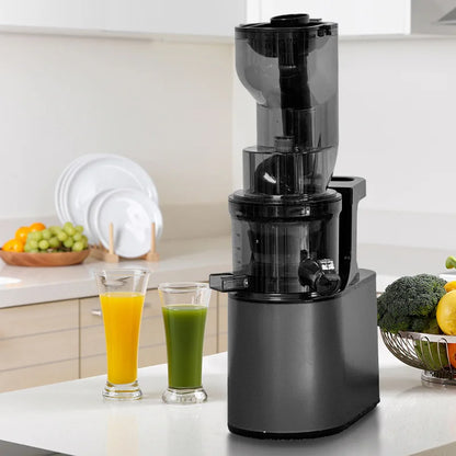 BlendForce Pro 2L Commercial Slow Juicer