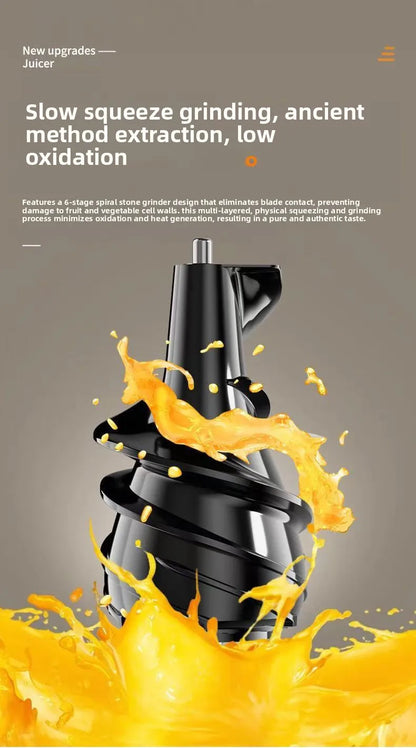 BlendForce Pro 2L Commercial Slow Juicer