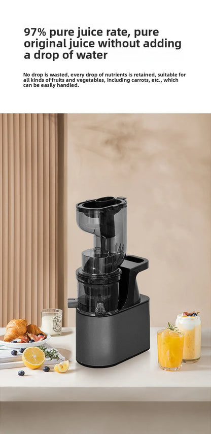 BlendForce Pro 2L Commercial Slow Juicer