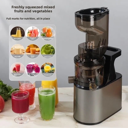 BlendForce Pro 2L Commercial Slow Juicer