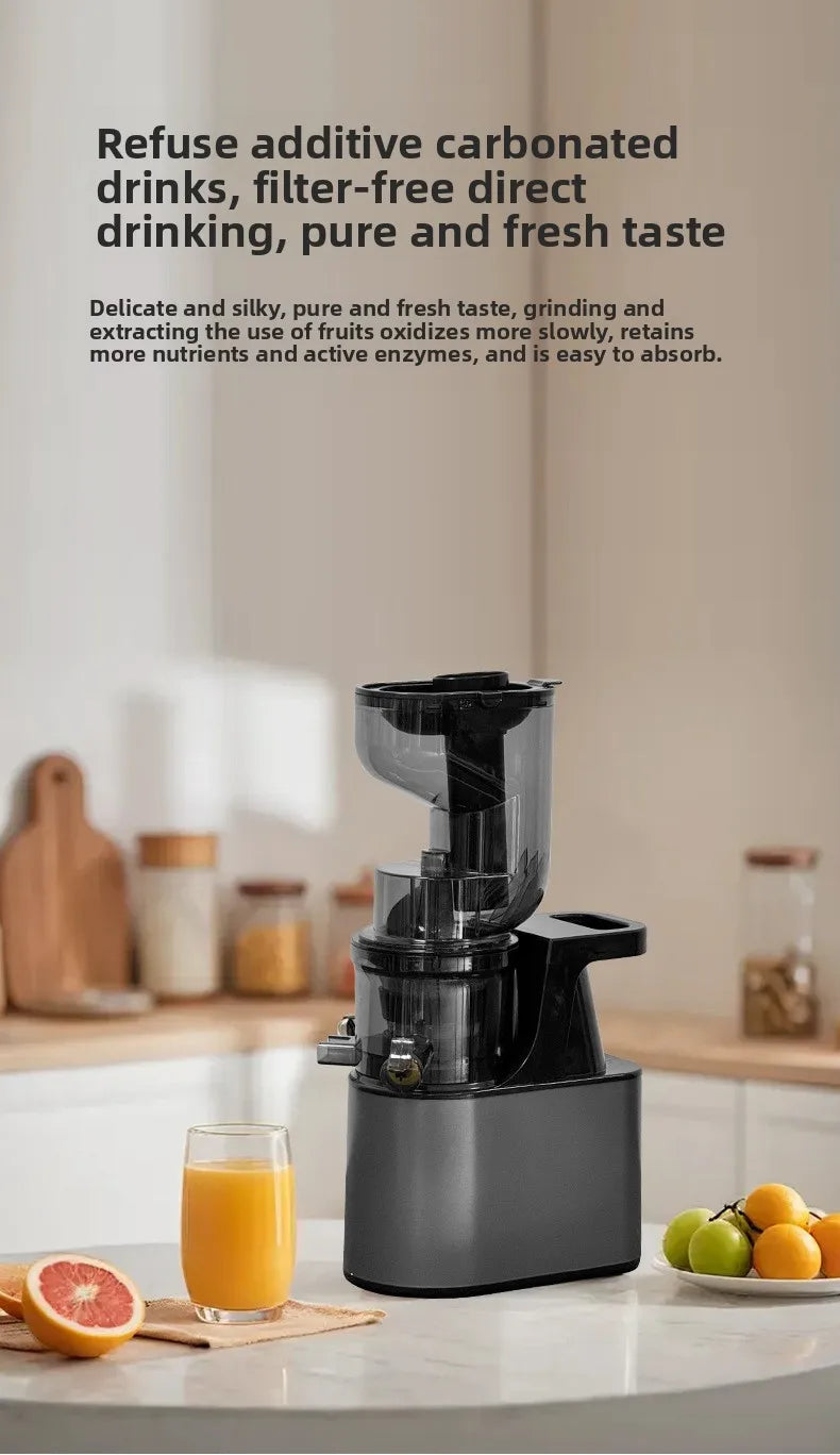 BlendForce Pro 2L Commercial Slow Juicer