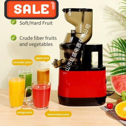 BlendForce Pro 2L Commercial Slow Juicer