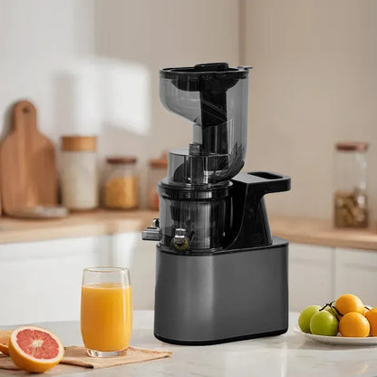 BlendForce Pro 2L Commercial Slow Juicer