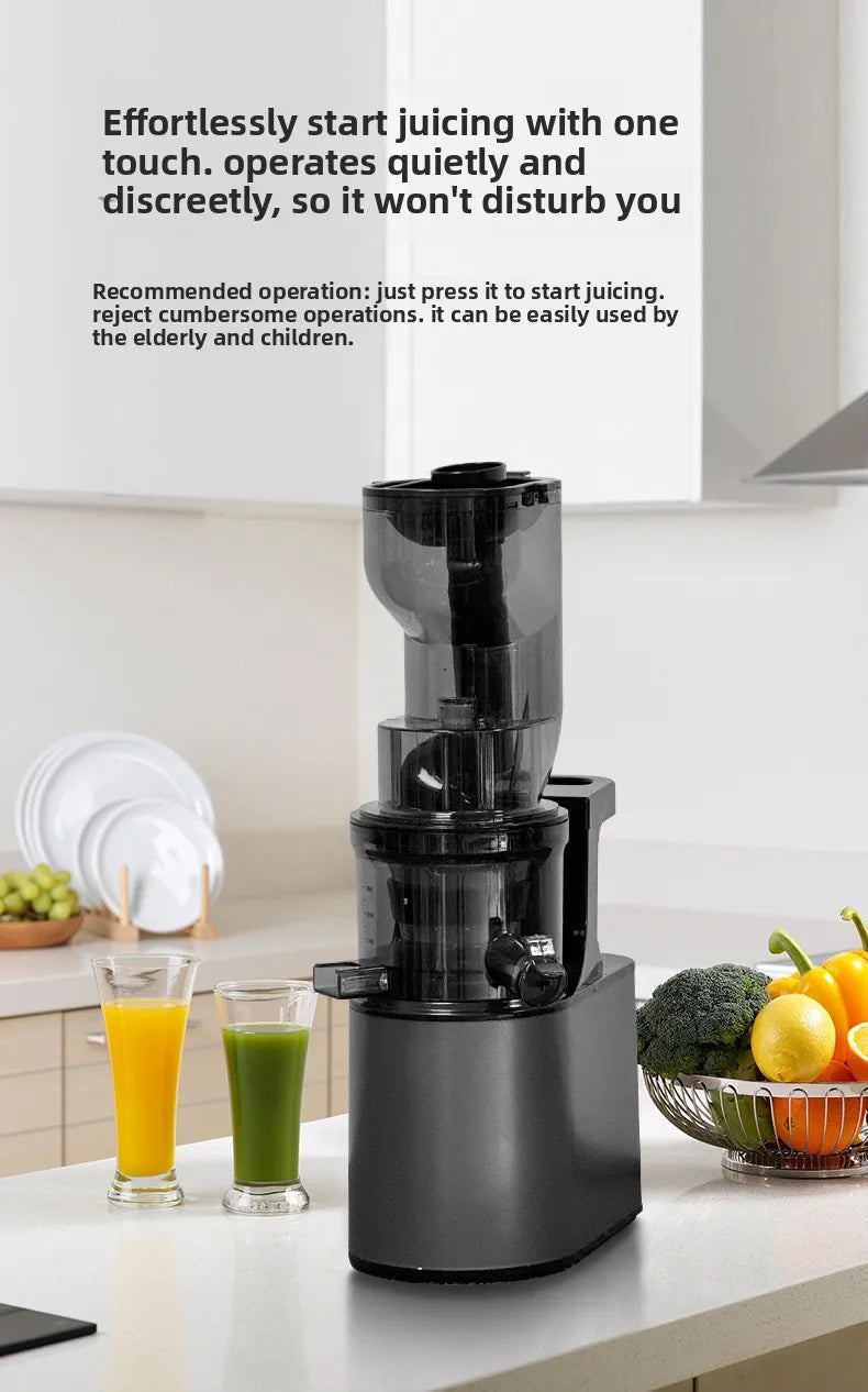 BlendForce Pro 2L Commercial Slow Juicer
