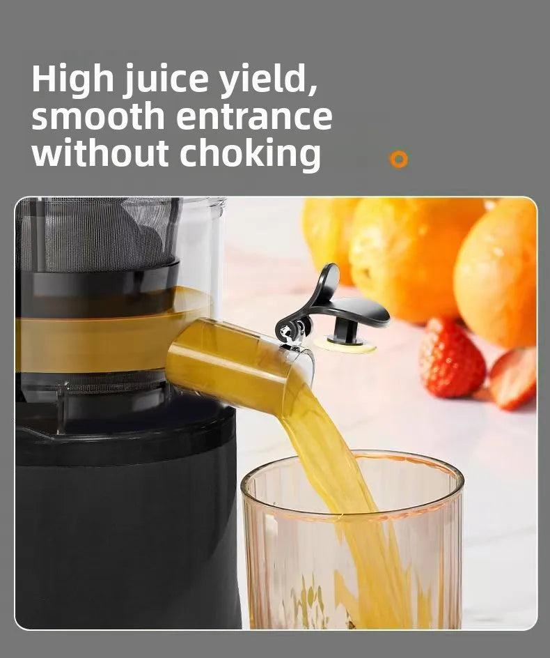 BlendForce Pro 2L Commercial Slow Juicer