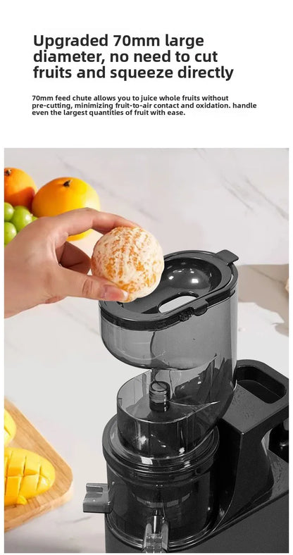 BlendForce Pro 2L Commercial Slow Juicer