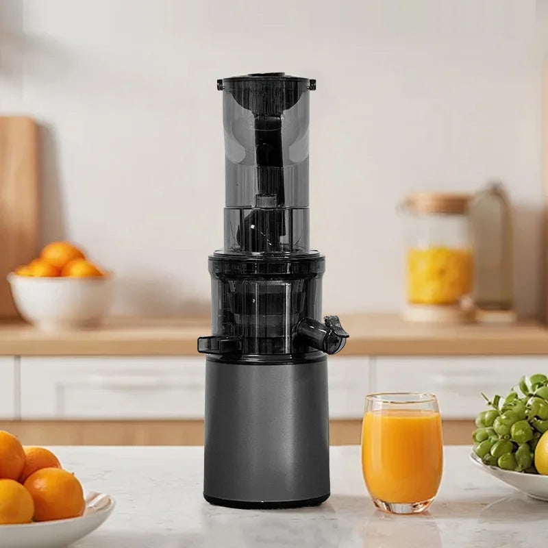 BlendForce Pro 2L Commercial Slow Juicer