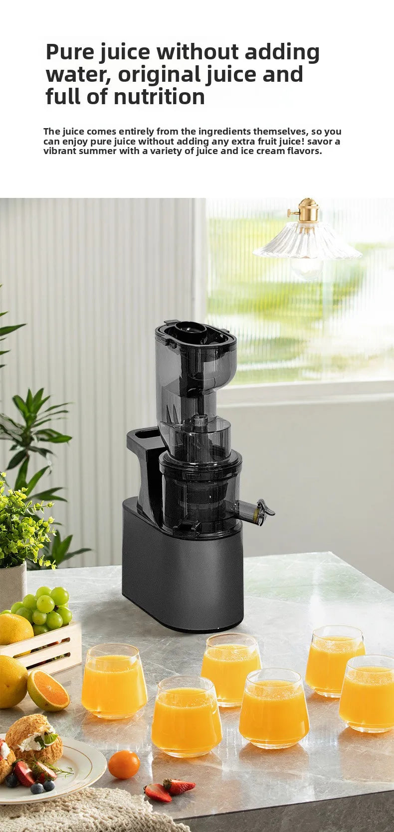 BlendForce Pro 2L Commercial Slow Juicer
