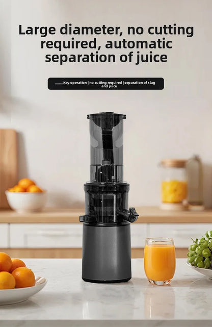 BlendForce Pro 2L Commercial Slow Juicer