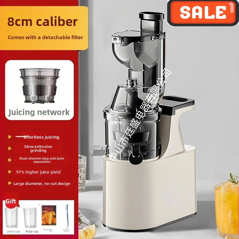 BlendForce Pro 2L Commercial Slow Juicer